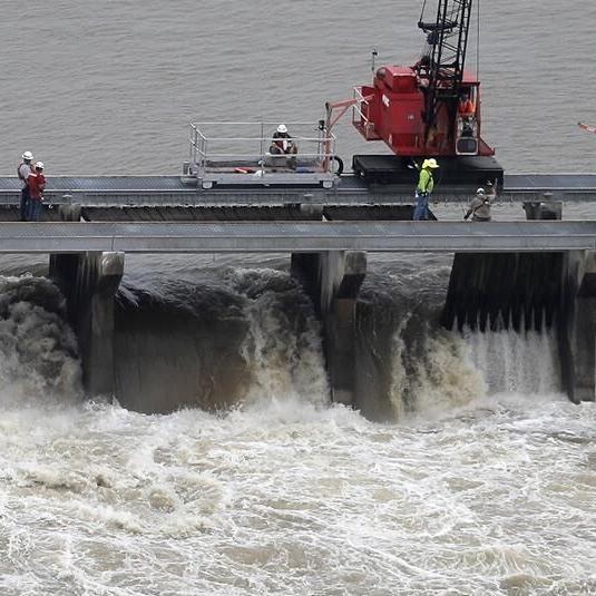 Lawsuit seeks to protect dolphins if flood-control spillway is used near New Orleans